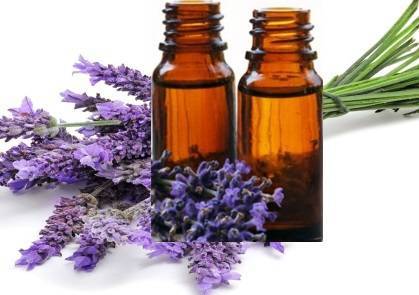 huile essentielle de lavande