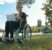 Ces maladies qui nécessitent l’utilisation d’un fauteuil roulant